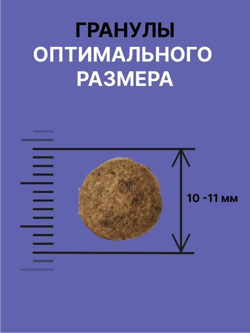 Сухой корм NERO GOLD Super Premium для собак, щенки, ягненок, 3 кг, фото 4