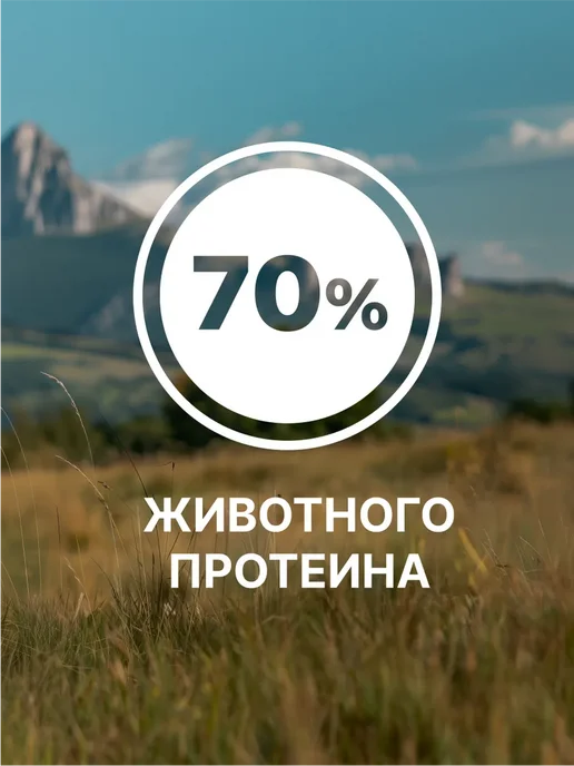 Сухой корм NERO GOLD Super Premium для собак, щенки, ягненок, 3 кг, фото 6