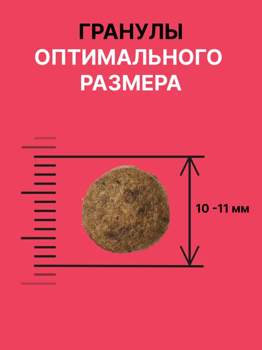 Сухой корм NERO GOLD Super Premium для собак, мясо, 3 кг, фото 4