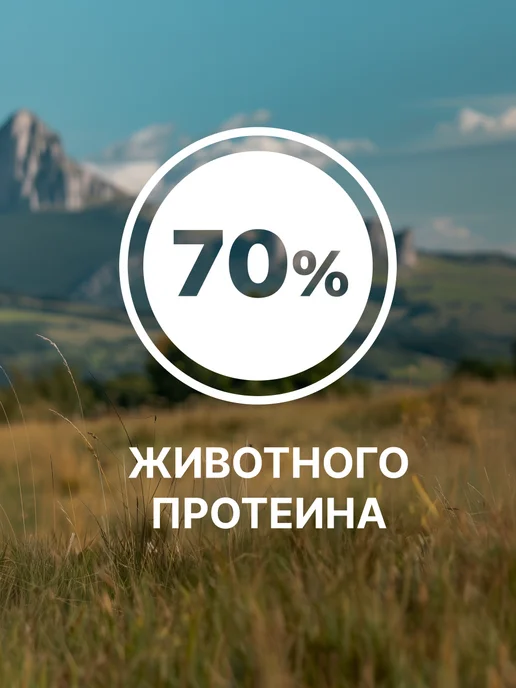 Сухой корм NERO GOLD Super Premium для собак, мясо, 3 кг, фото 6