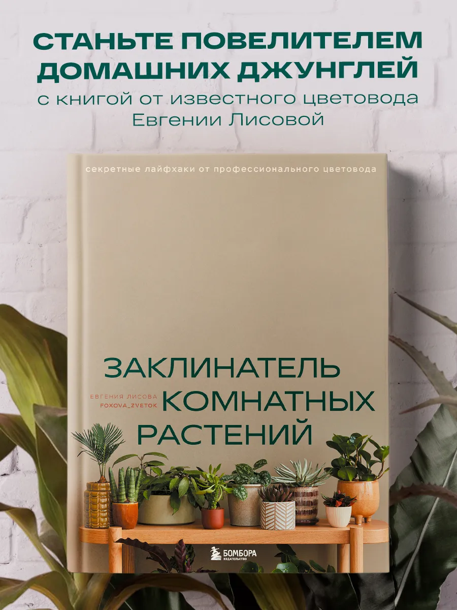 Заклинатель комнатных растений. Секретные лайфхаки от