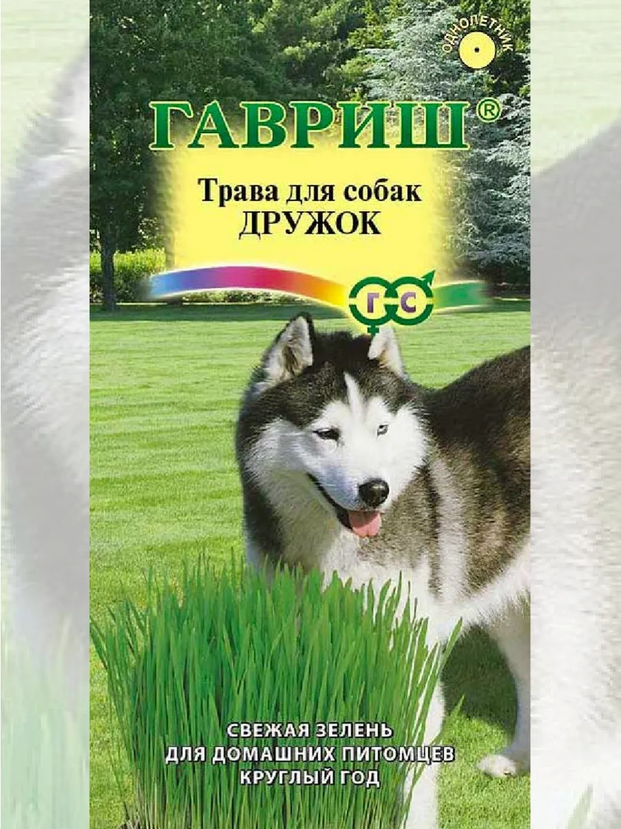 Семена Трава для собак Дружок 10 г