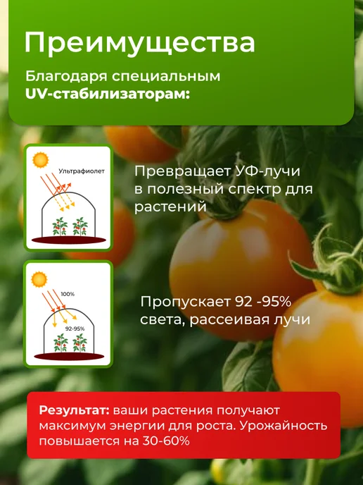 Светлица Пленка для теплиц многолетняя 200 мкм 6х8, 6x8, фото 2