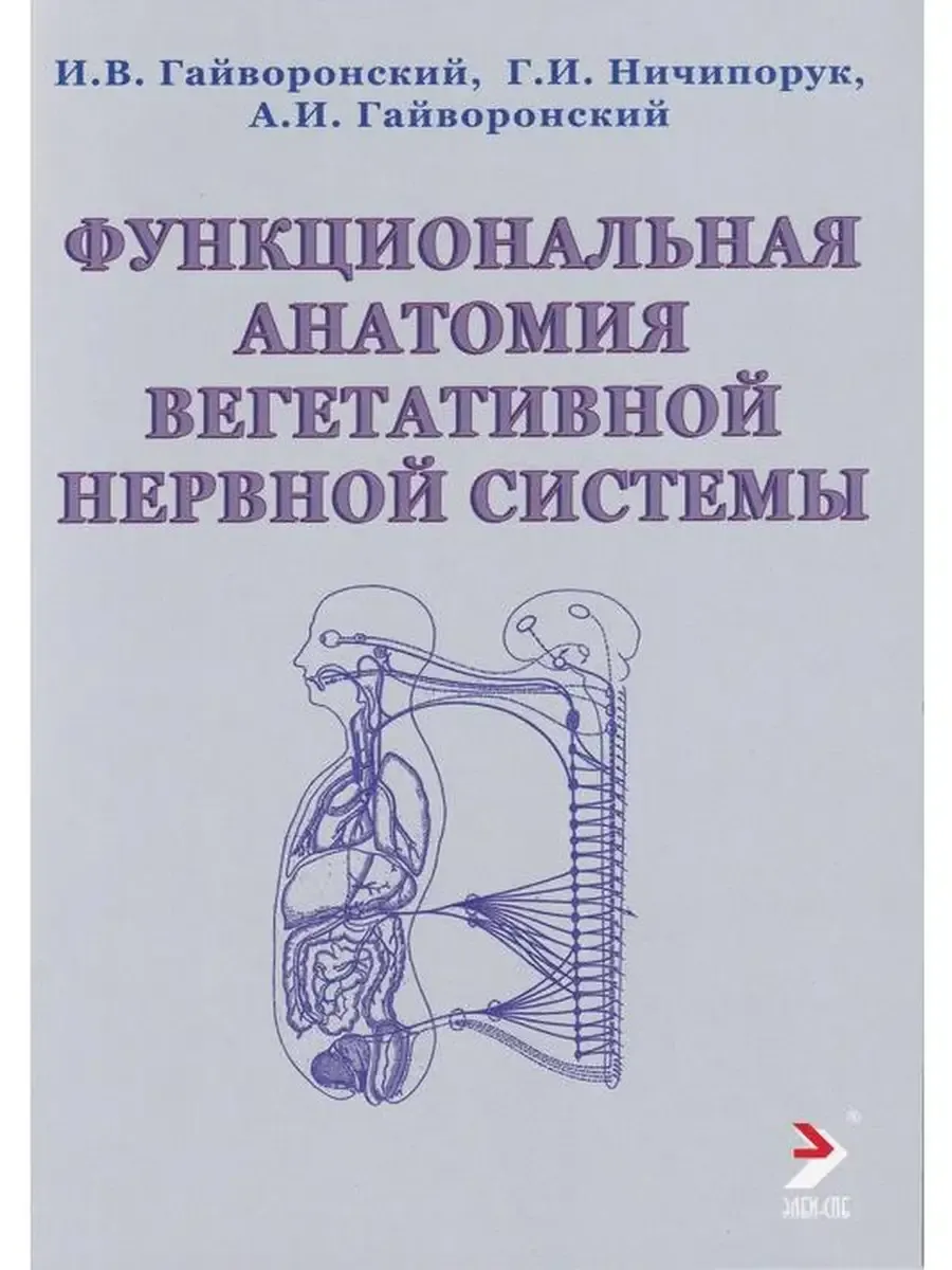 Функциональная анатомия вегетативной нер