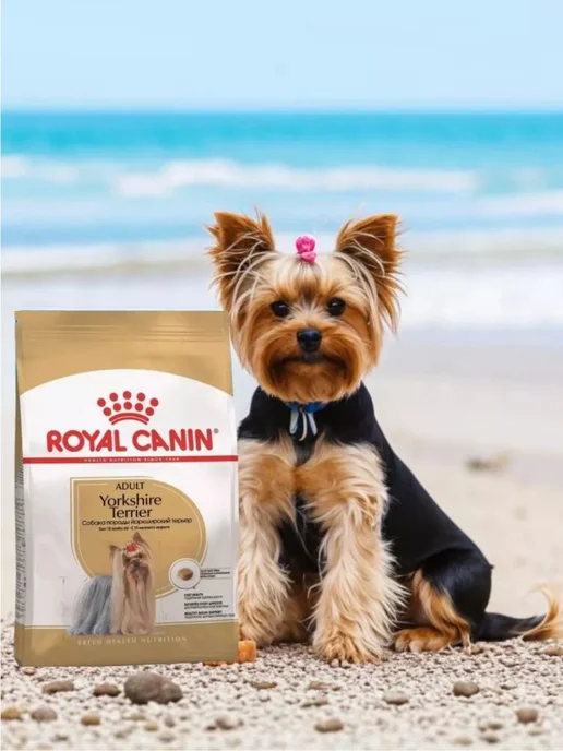 Сухой корм Royal canin Yorkshire Terrier для собак, взрослые, 7,5 кг, фото 3