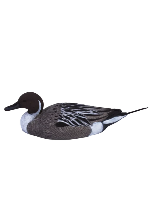 SibRay Чучела для охоты Шилохвость, вариант, фото 3