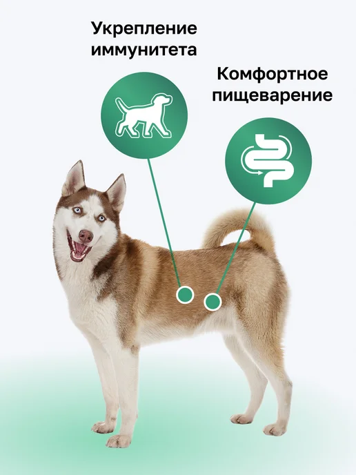 Сухой корм Organix Фруктами для собак, ягненок, 18 кг, фото 2