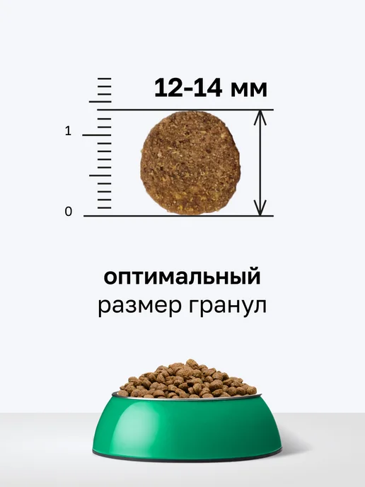 Сухой корм Organix Фруктами для собак, ягненок, 0,8 кг, фото 8