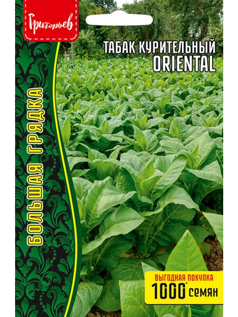 Семена Табак курительный Oriental ВП 0,1г
