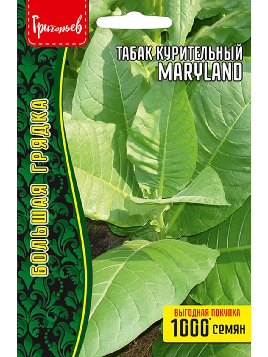 Семена Табак курительный Maryland ВП 0,1г