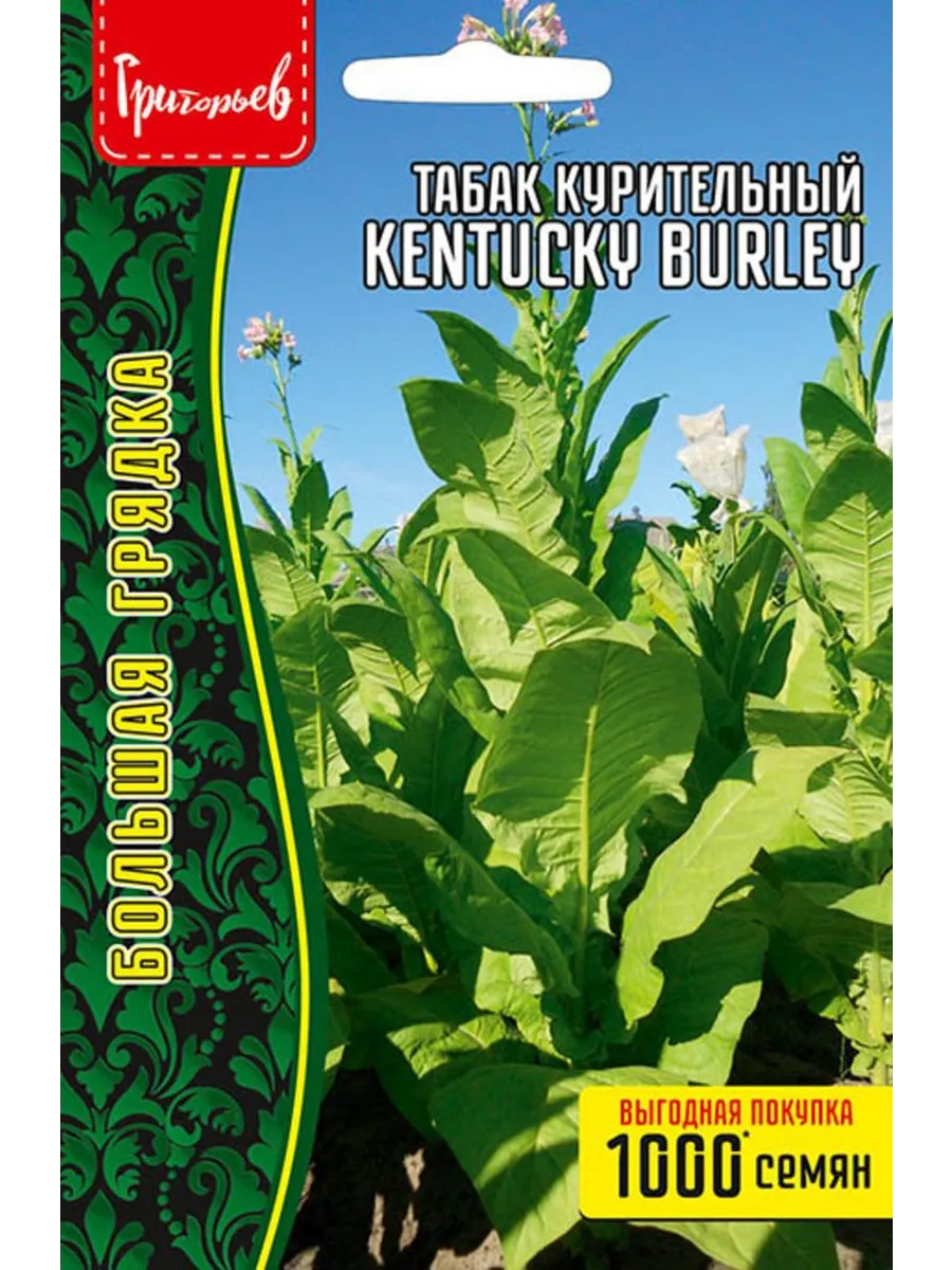 Семена Табак курительный Kentucky Burley ВП 0,1г