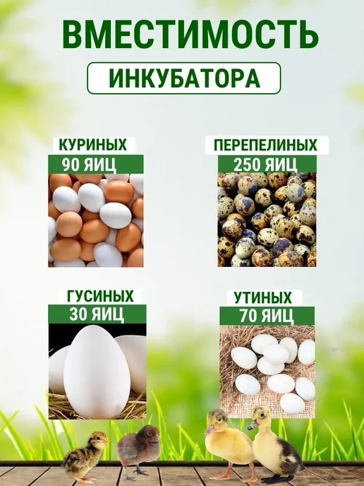 Инкубатор Матрица Рио на 90 яиц, Рио на 90 яиц, фото 2