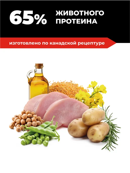 Сухой корм GO'KITCHEN для собак, беззерновой, щенки, индейка, 0,4 кг, фото 7