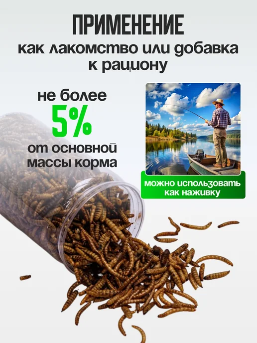 Хитрый крыс Белковая смесь, черная львинка зоофобас сверчок 60 грамм, черный, фото 3