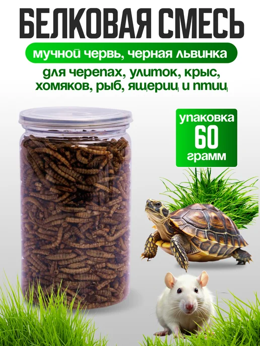 Хитрый крыс Белковая смесь, черная львинка зоофобас сверчок 60 грамм, черный, фото 6