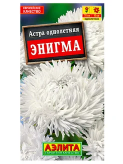 Астра Энигма коготковая, семена 0,2 г Аэлита Агрофирма 301227679 купить за 121 ₽ в интернет‑магазине Wildberries