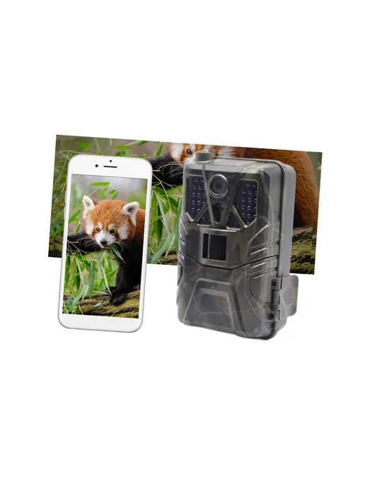 Филин 4G LTE-Pro-4K (HC-812) фотоловушка с датч. движ, 4k камера Сантек Filin, фото 5