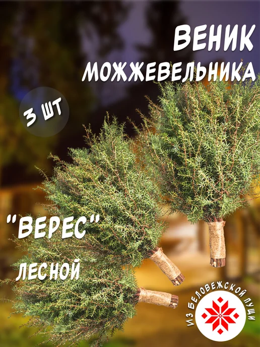 из Пущи Можжевельник "Верес" лесной 1 шт, 3 шт