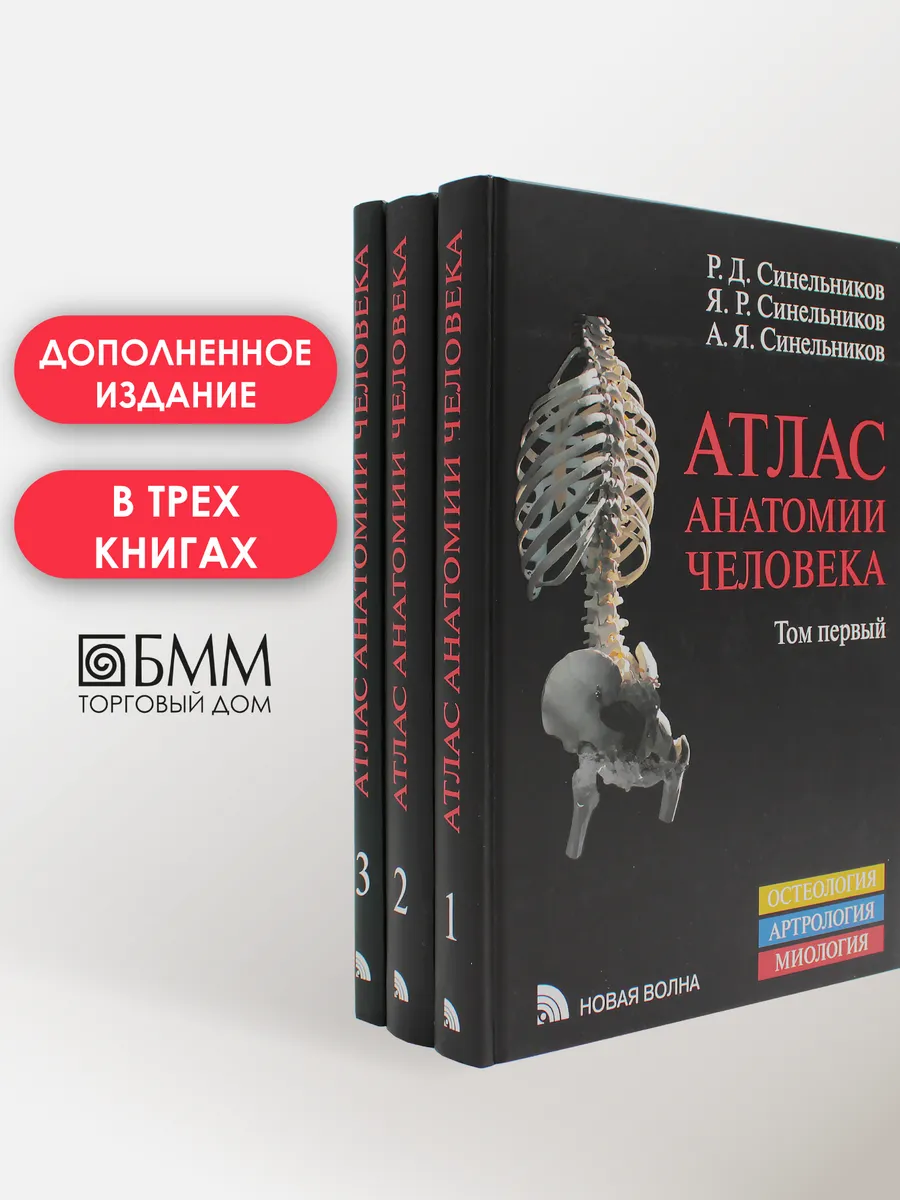 Атлас анатомии человека: В 3 т. Комплект Новая Волна 301414310 в интернет-м...
