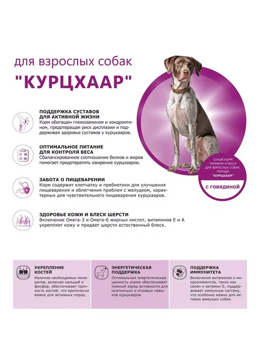 Сухой корм QUATTRO Курцхаар для собак, говядина, 12 кг, фото 2