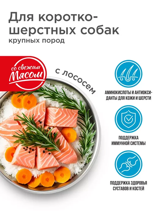 Сухой корм QUATTRO Короткошерстных для собак, крупные, лосось, 12 кг, фото 2