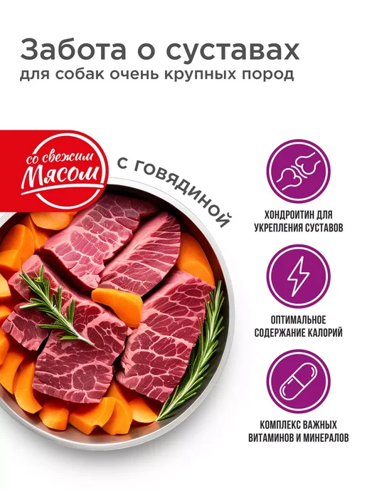 Сухой корм QUATTRO Очень Суставов для собак, крупные, говядина, 12 кг, фото 2