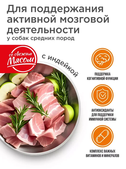 Сухой корм QUATTRO Мозга Памяти для собак, средние, лосось, 12 кг, фото 2