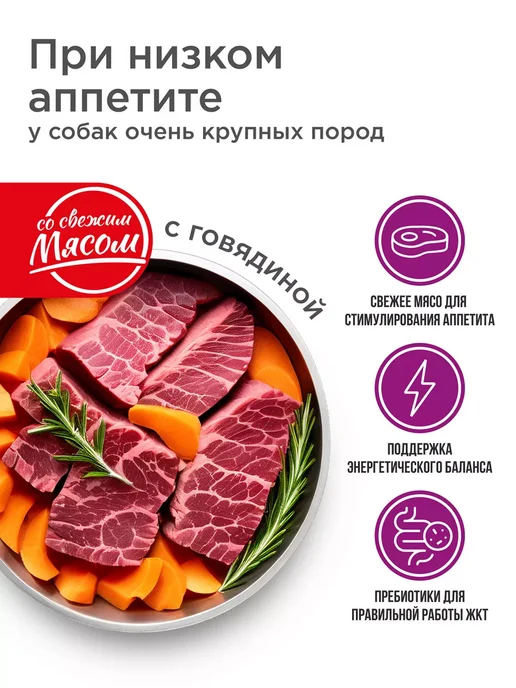 Сухой корм QUATTRO Очень Аппетита для собак, крупные, говядина, 12 кг, фото 2