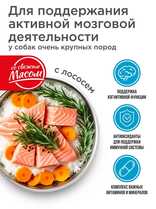 Сухой корм QUATTRO Очень Больших для собак, лосось, 12 кг, фото 2