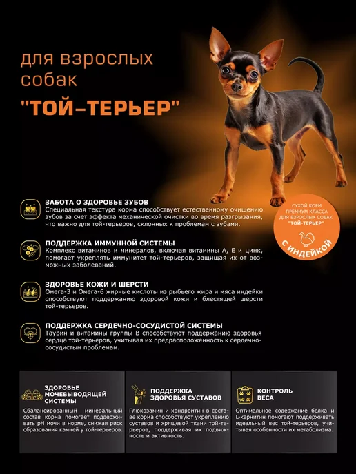 Сухой корм QUATTRO Той-Терьер для собак, индейка, 2,5 кг, фото 2