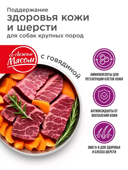 Сухой корм QUATTRO Здоровье Шерсти для собак, крупные, говядина, 12 кг, фото 2