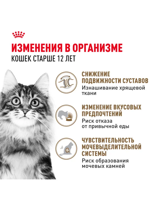 Royal canin Влажный корм для кошек и котов старше 12 лет (желе), 28 шт, 28 шт, фото 2