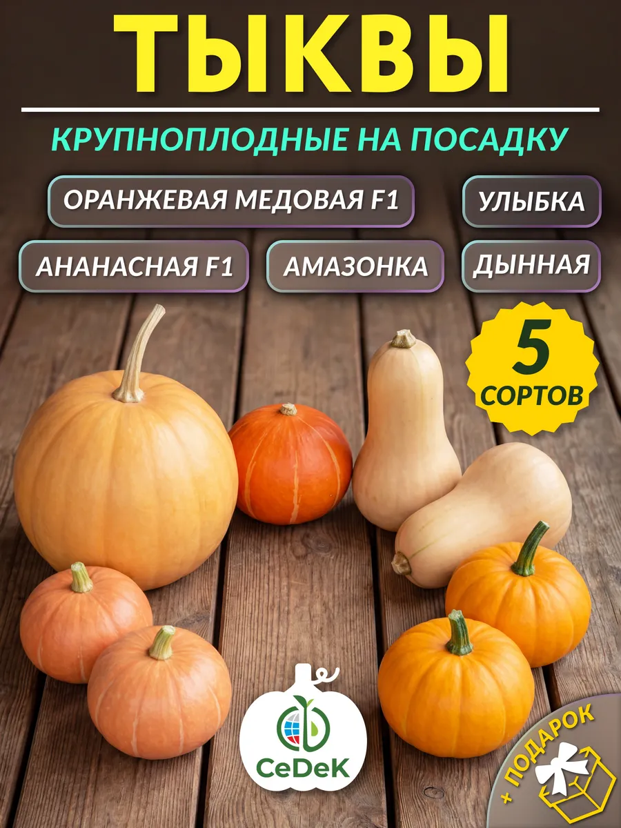 Семена тыквы на посадку
