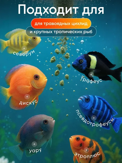 Гранулы корм для травоядных цихлид, 50г, 50 г, фото 3