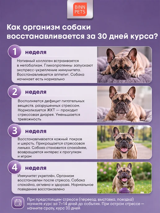 BINN PETS Коллаген для собак добавка ветаптека Extreme Support, вариант, фото 5
