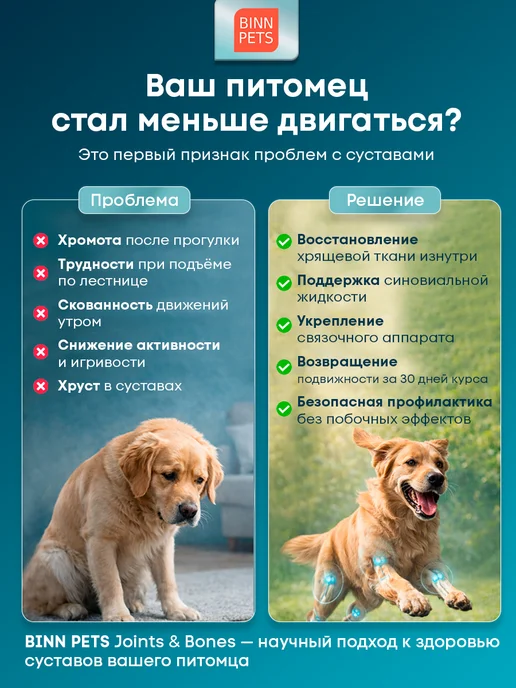 BINN PETS Коллаген для собак добавка ветаптека Junior Promotion, вариант, фото 2