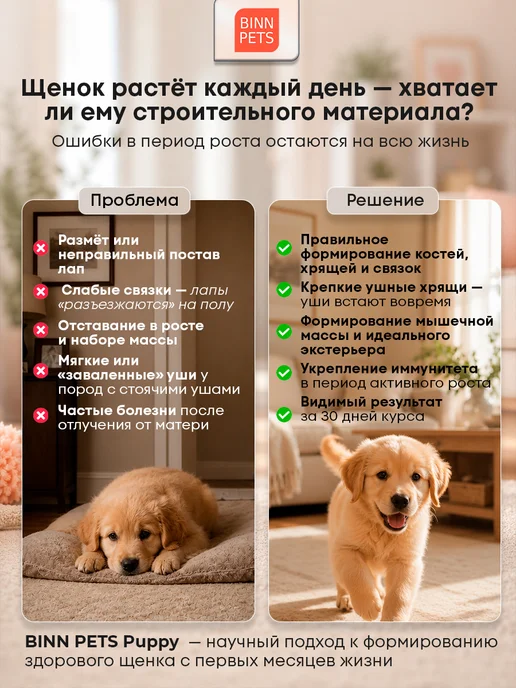 BINN PETS Коллаген для собак добавка ветаптека Junior Promotion, вариант, фото 2