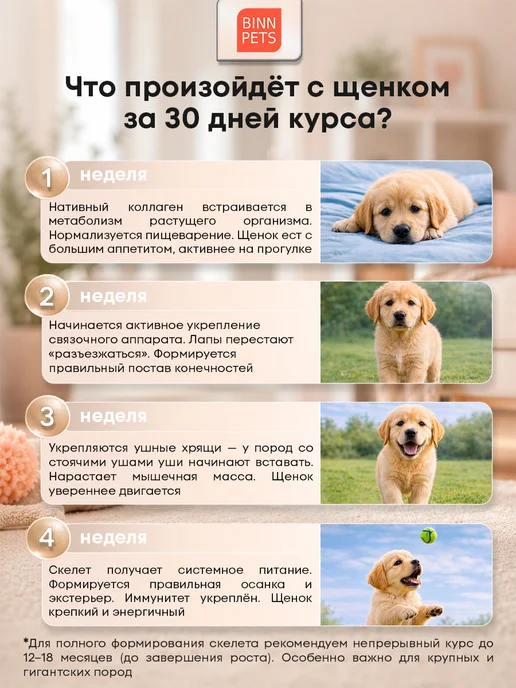 BINN PETS Коллаген для собак добавка ветаптека Junior Promotion, вариант, фото 5