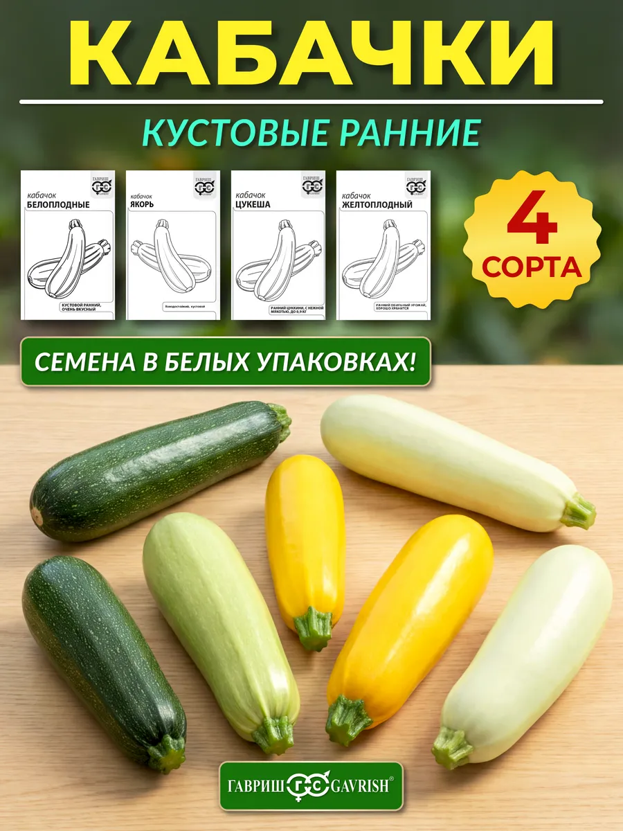 Кабачки кустовые раннеспелые самоопыляемые