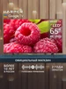 Телевизор 65 дюймов смарт 65Q770TS QLED+ HDR 4K UHD, черный Harper 302398848 купить за 40 457 ₽ в интернет‑магазине Wildberries