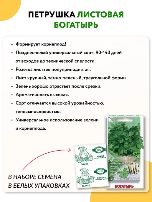 Агрохолдинг ПОИСК Семена зелени укропа и петрушки для подоконника и огорода, зеленый, фото 3