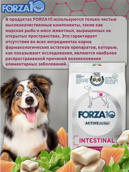 Сухой корм Forza 10 При Заболевании для собак, 4 кг, фото 3