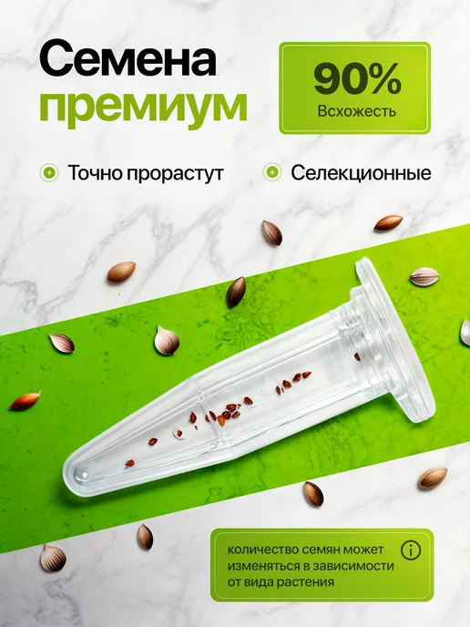 Про Растения Набор для выращивания растений Мята, вариант, фото 3