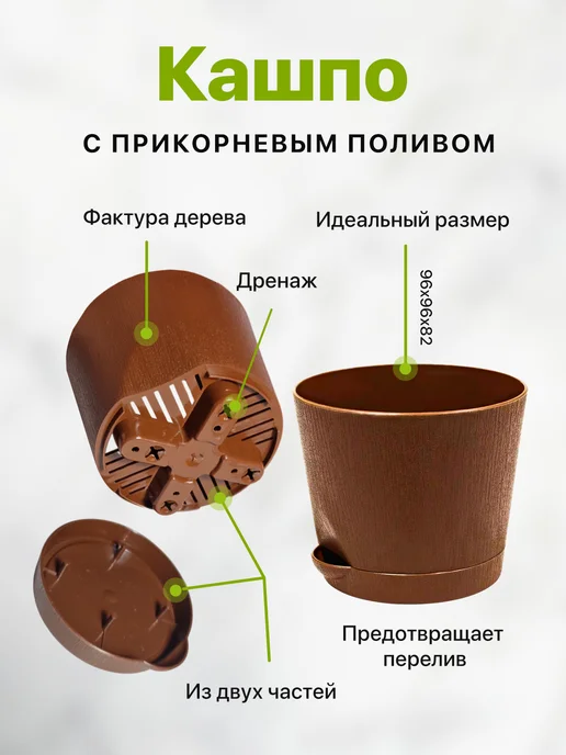 Про Растения Набор для выращивания растений Мята, вариант, фото 5