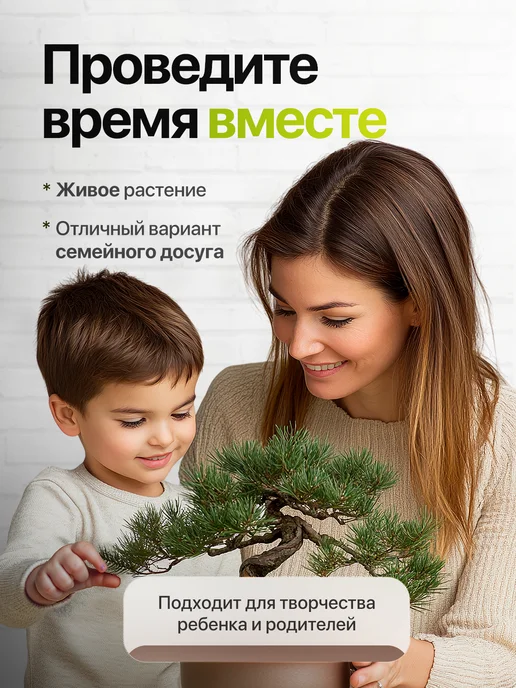 Про Растения Набор для выращивания растений Мята, вариант, фото 7