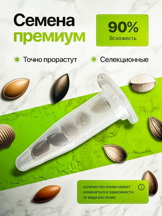 Про Растения Набор для выращивания растений Земляника, в упаковке 400 г, фото 3