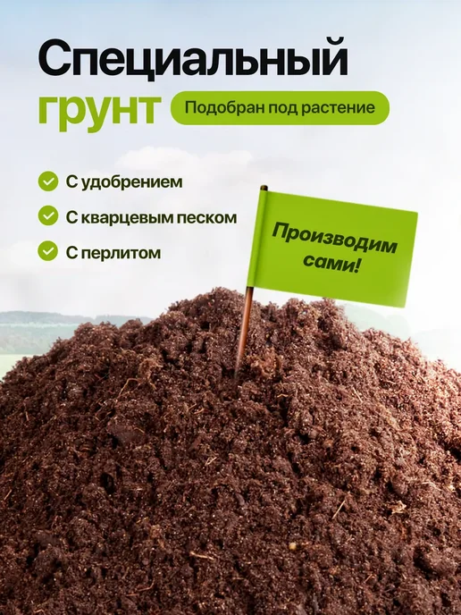 Про Растения Набор для выращивания растений Земляника, в упаковке 400 г, фото 4