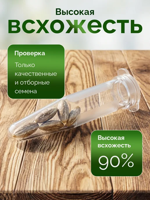 Про Растения Набор для выращивания растений Огурец корнишон, вариант, фото 4