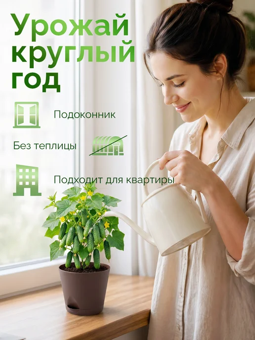 Про Растения Набор для выращивания растений Огурец корнишон, вариант, фото 7