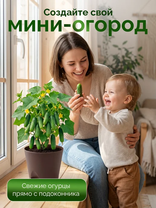 Про Растения Набор для выращивания растений Огурец корнишон, вариант, фото 8